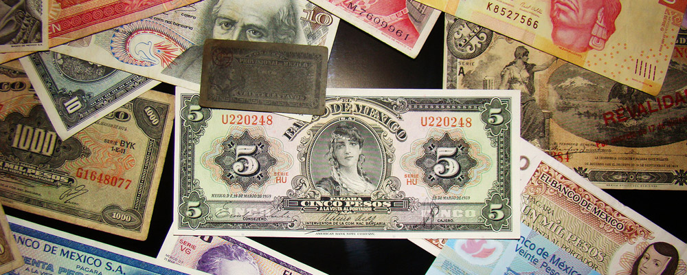 Creative Asset Management Limited