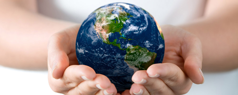 Creative Asset Management Limited